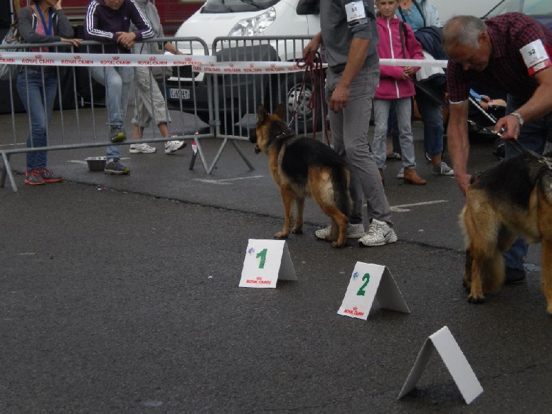 Publication : Du Domaine D'Aurelie Et Amelie Auteur : LE DOMAINE D'AURELIE ET AMELIE