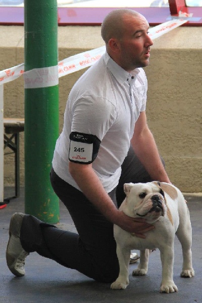 Gemma du clos du bull artu - Très Bon