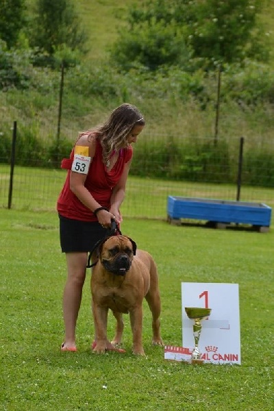 Kiss du Joli Bief - 1ère excellent ( ouverte femelle)