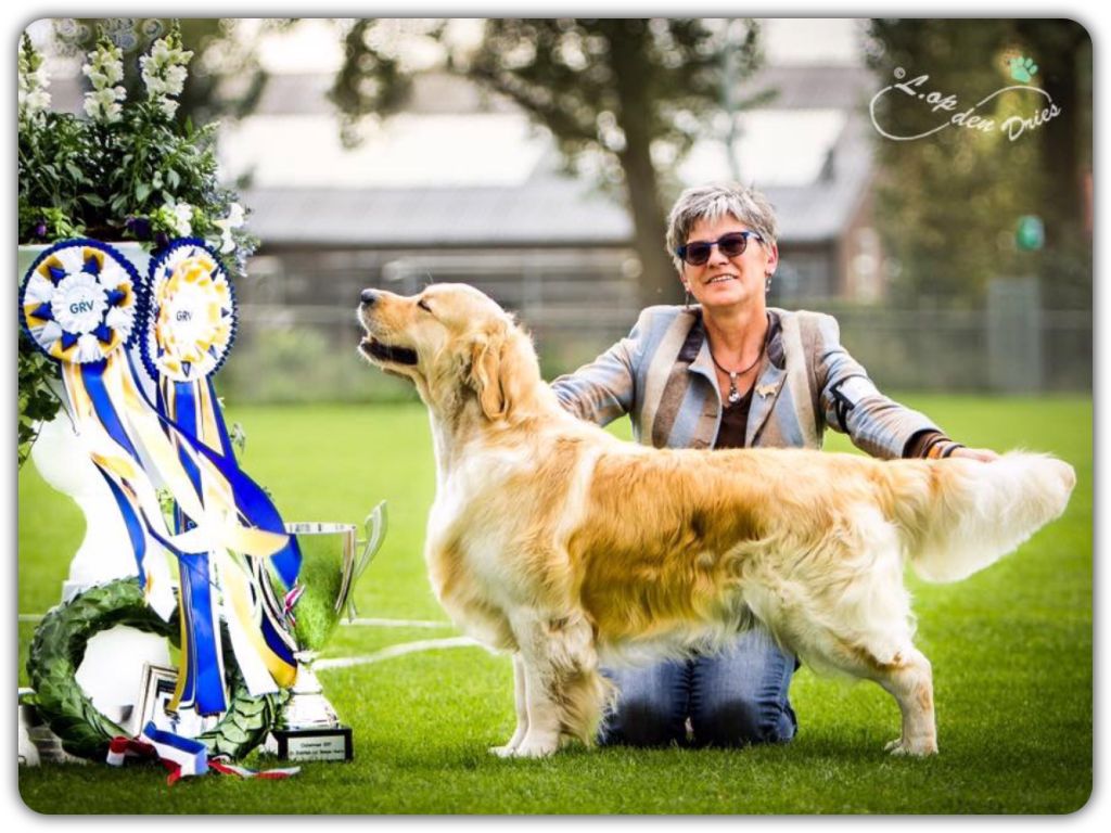 Publication : Shine Your Way