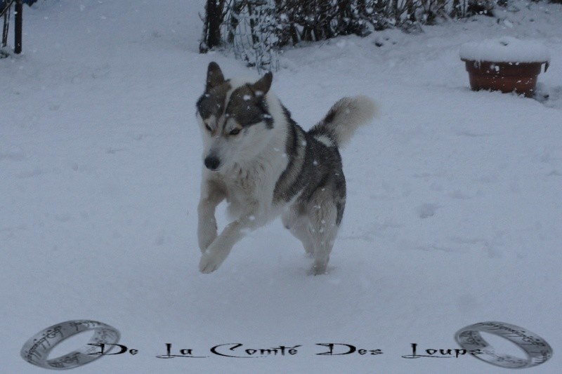 Eliboy de Youskaille