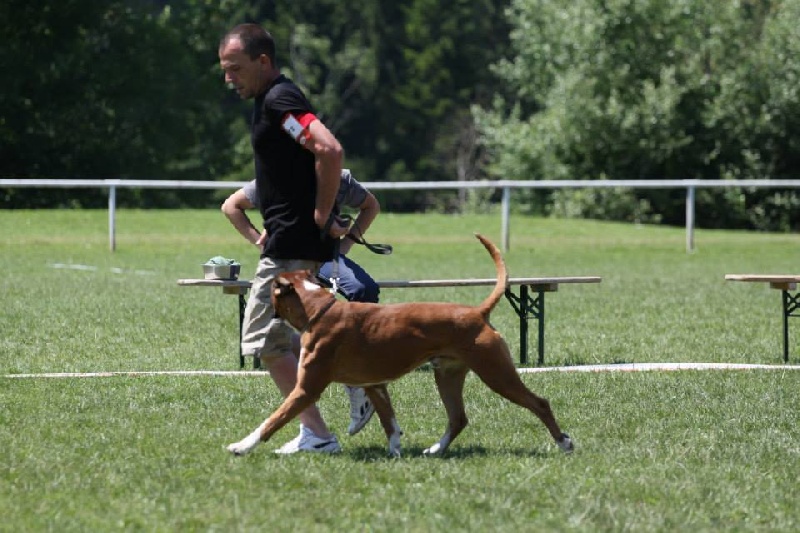 Publication : Des Gardiens D'evana