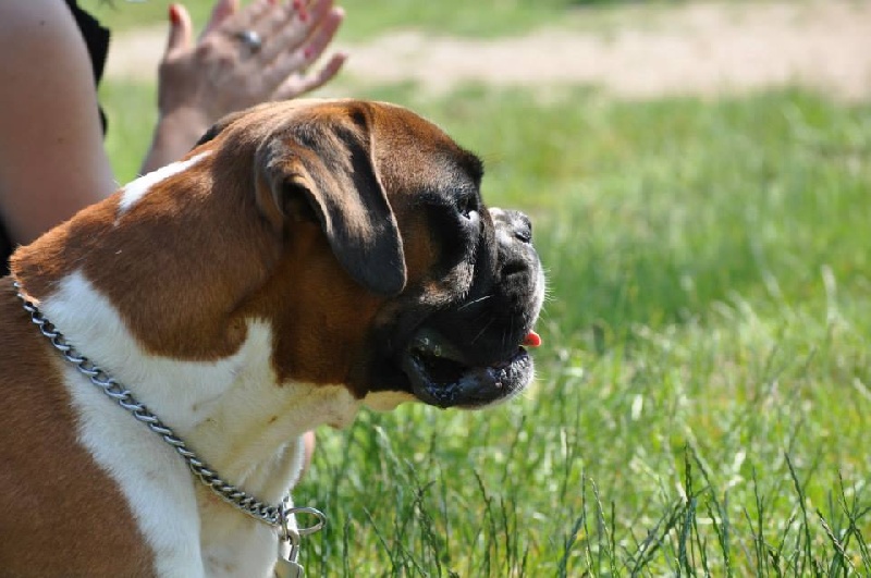 Publication : Des Gardiens D'evana