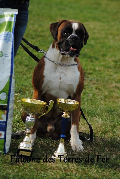 Publication : Des Gardiens D'evana