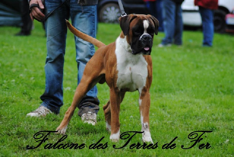 Publication : Des Gardiens D'evana