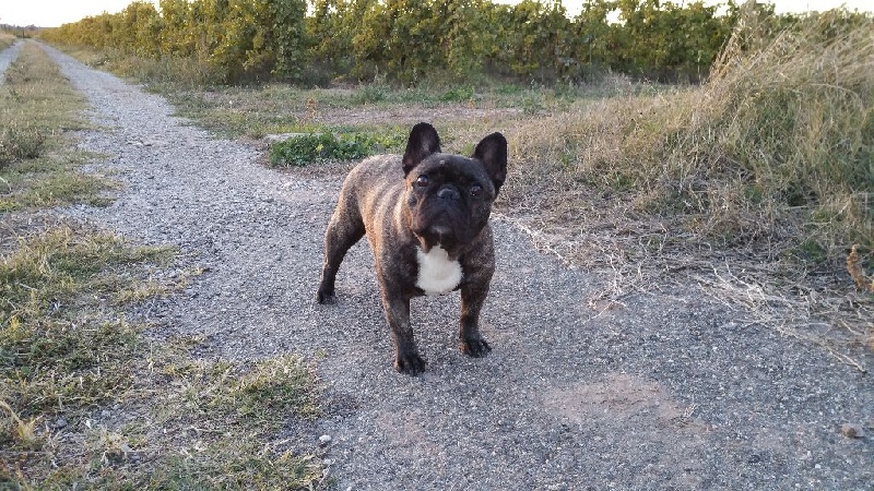 Publication : Du Domaine Des Fans Auteur : Domaine des fans