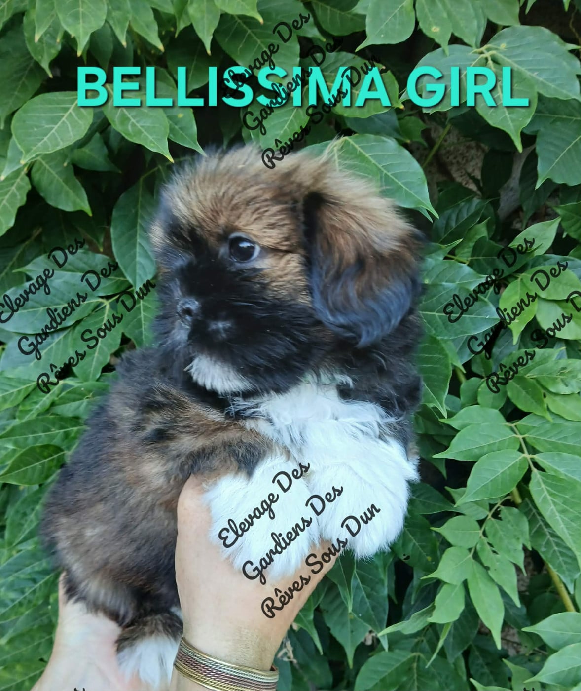 BELLISSIMA GIRL