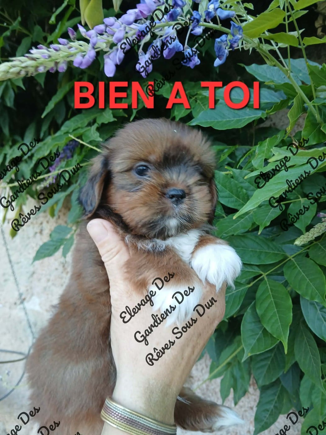 bien a toi