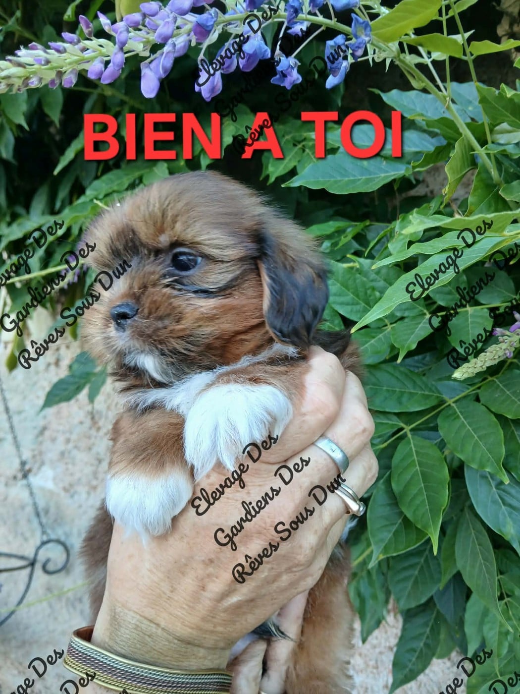 bien a toi