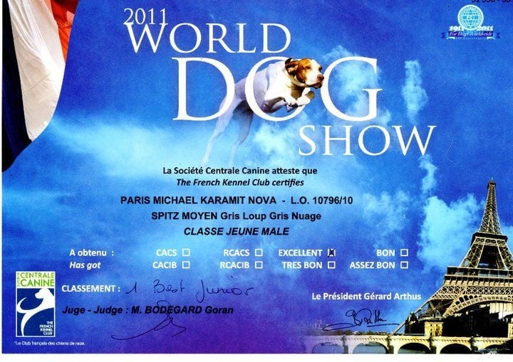 Paris michael karamit nova - CLASSE JEUNE MALE,1ER EXCELLENT MEILLEUR JEUNE