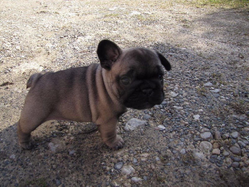 NOTRE LOLITA LEMPICKA