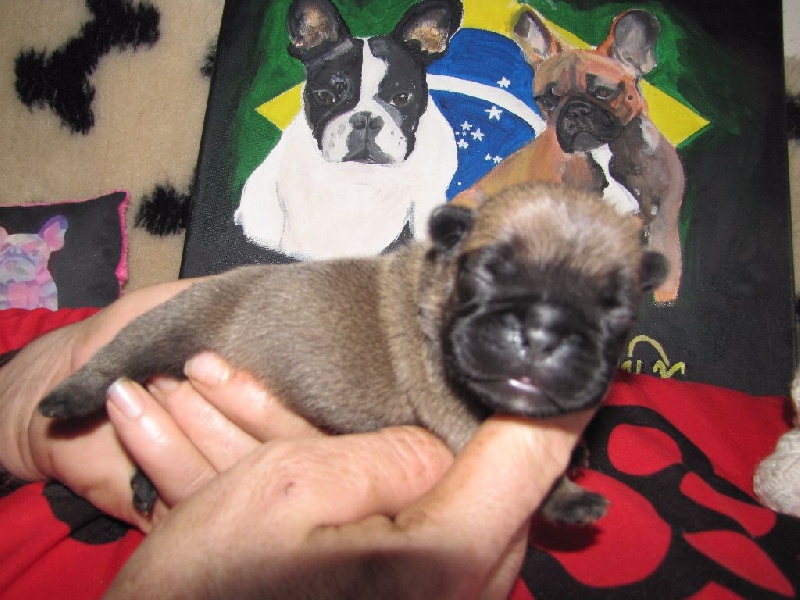 NOTRE LOLITA LEMPICKA