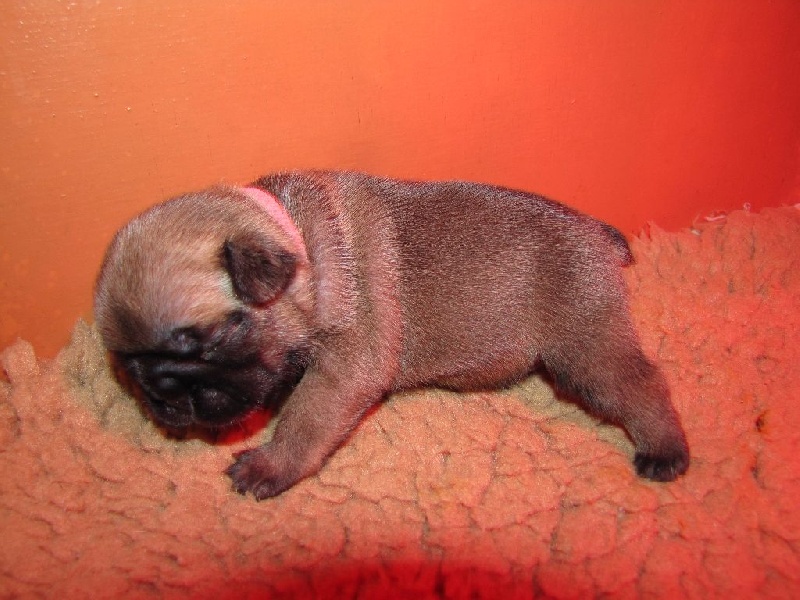 NOTRE LOLITA LEMPICKA