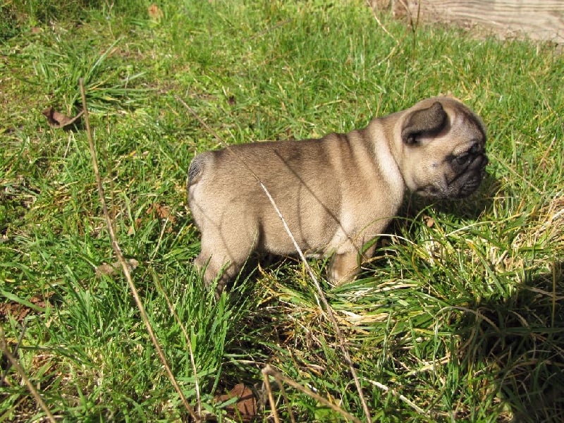 NOTRE LOLITA LEMPICKA