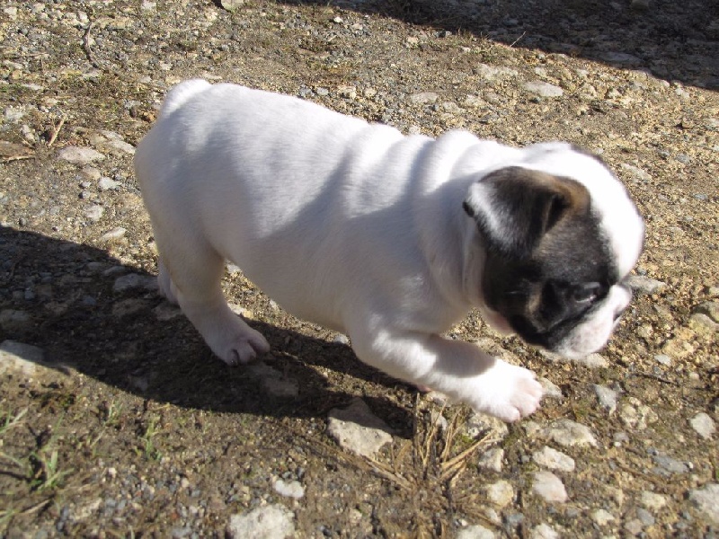 NAÎS NOBLESSE OBLIGE