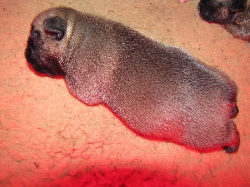 NOTRE LOLITA LEMPICKA