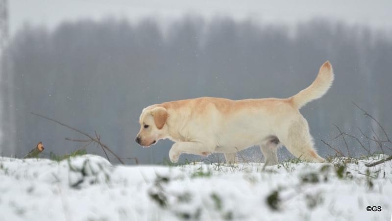 Publication : Du Val De Quincy Auteur : Patricia & Gwen Gosset Sermon