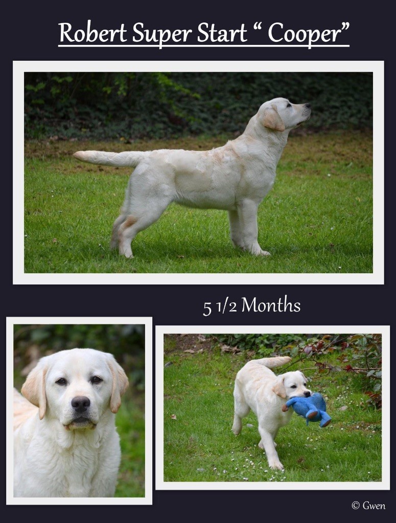 Publication : Du Val De Quincy Auteur : Patricia & Gwen Gosset Sermon