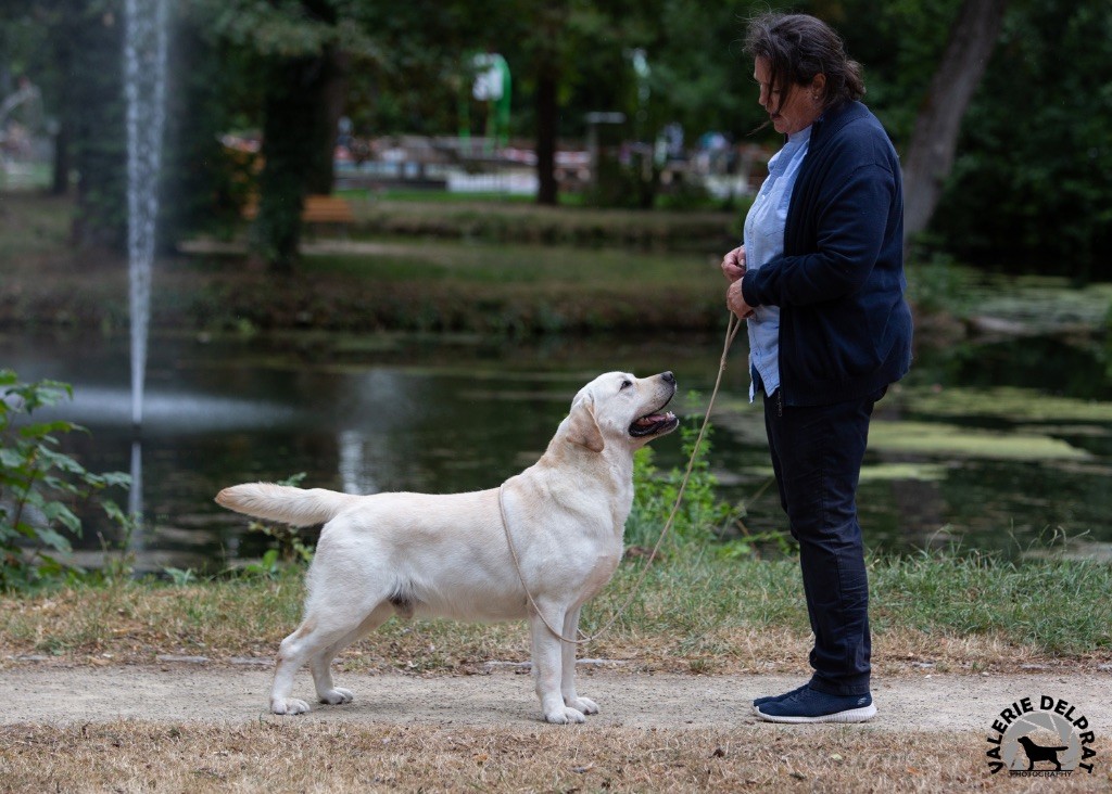 Publication : Du Val De Quincy Auteur : Patricia & Gwen Gosset Sermon