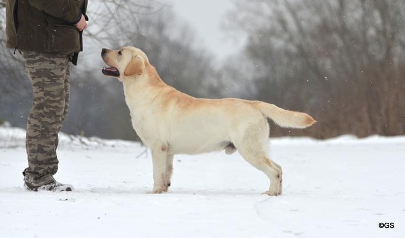 Publication : Du Val De Quincy Auteur : Patricia & Gwen Gosset Sermon