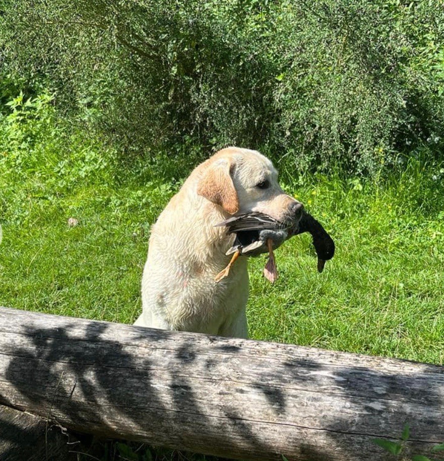 Publication : Du Val De Quincy Auteur : Patricia & Gwen Gosset Sermon