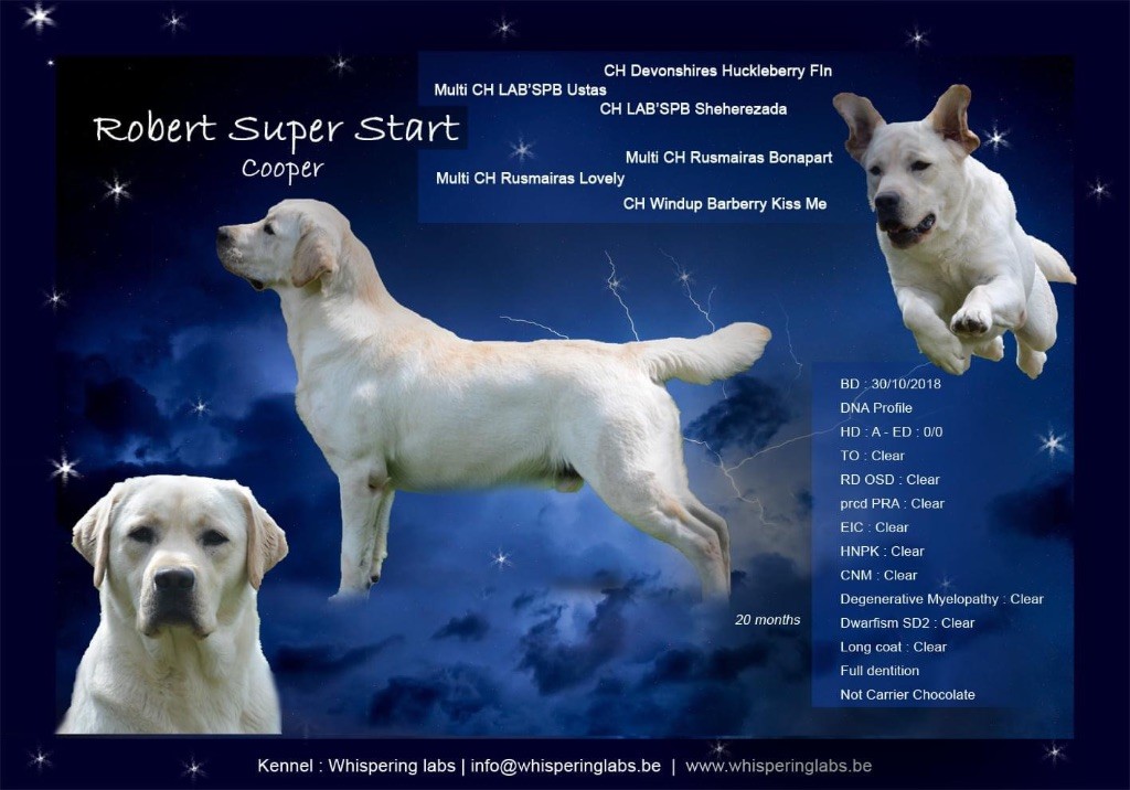 Publication : Du Val De Quincy Auteur : Patricia & Gwen Gosset Sermon