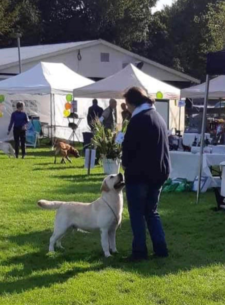 Publication : Du Val De Quincy Auteur : Patricia & Gwen Gosset Sermon