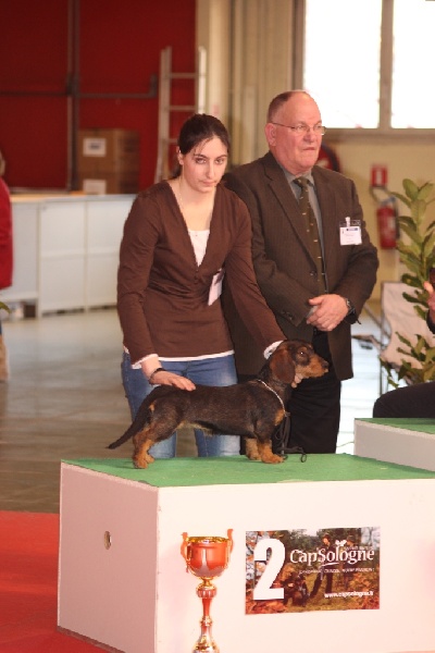 Halley de la vallée d'astille - 1er excellent classe jeune Meilleur jeune Meilleur de race