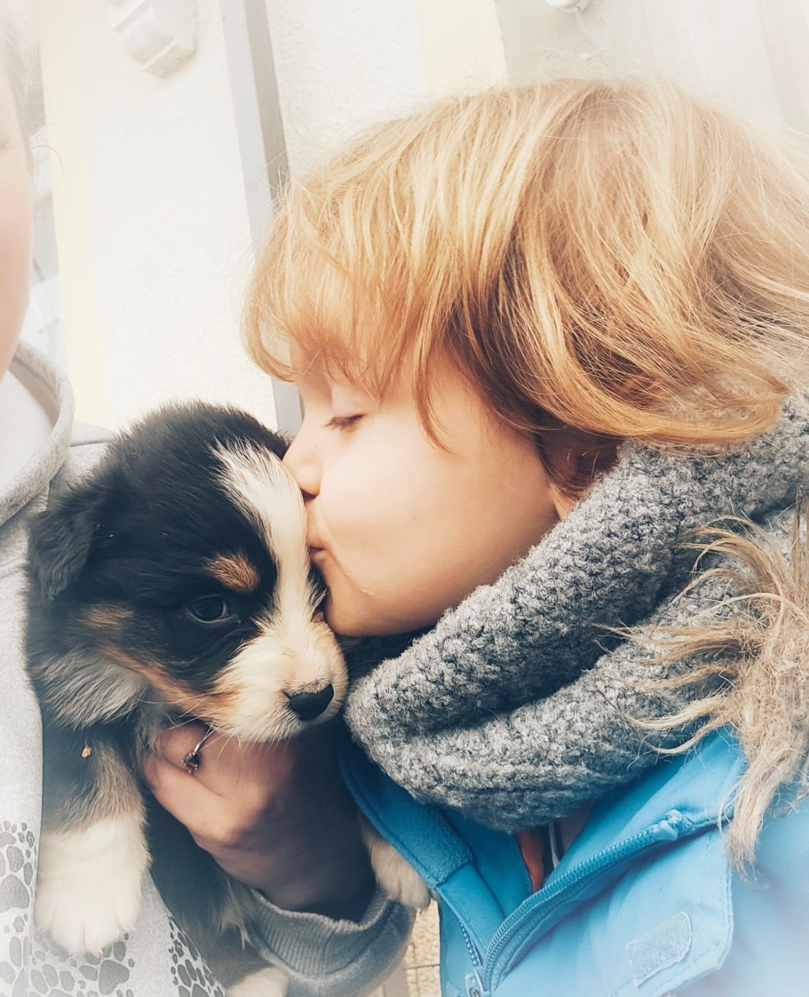 Berger Australien - Du Diamant Des Neiges