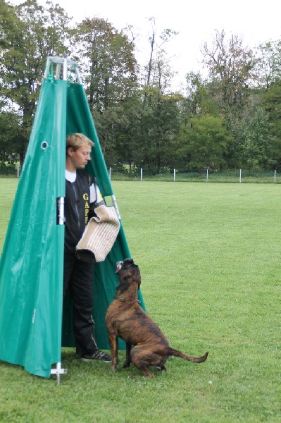 Grany smith des Tendres Rebels - 268 pts Mention Bon