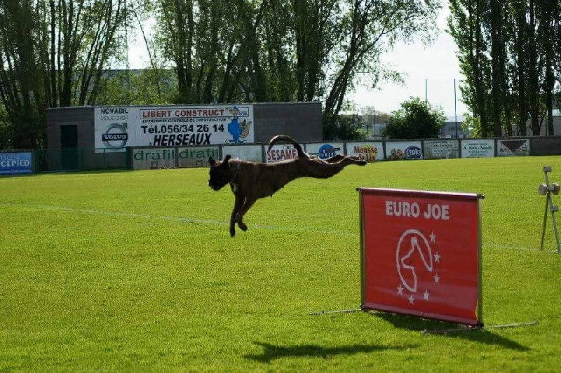 Grany smith des Tendres Rebels - 1/3