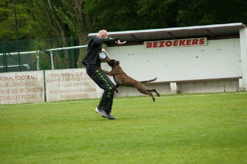 Grany smith des Tendres Rebels - 6/12