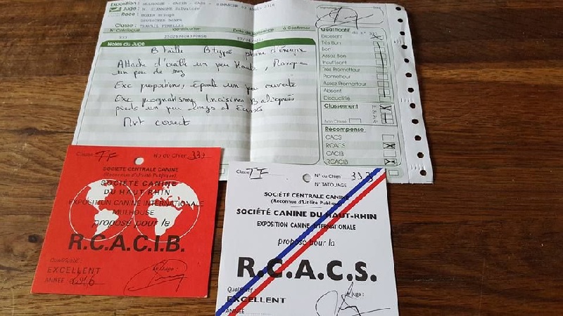 Grany smith des Tendres Rebels - RCACIB/RCACS