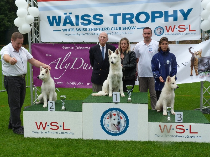 Jolie mome Della Bianca Neve - 1ère excellent !