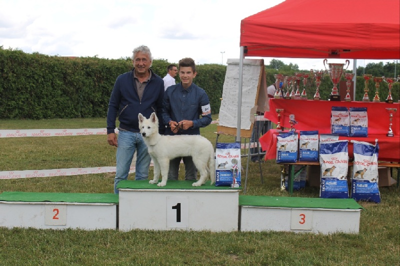 Jolie mome Della Bianca Neve - 1ère très prometteur !