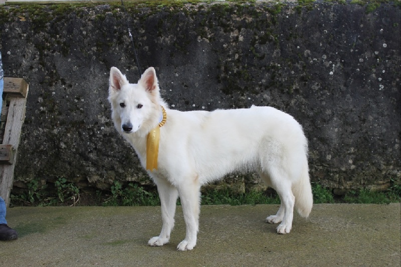 Jolie mome Della Bianca Neve - 1ère excellent !