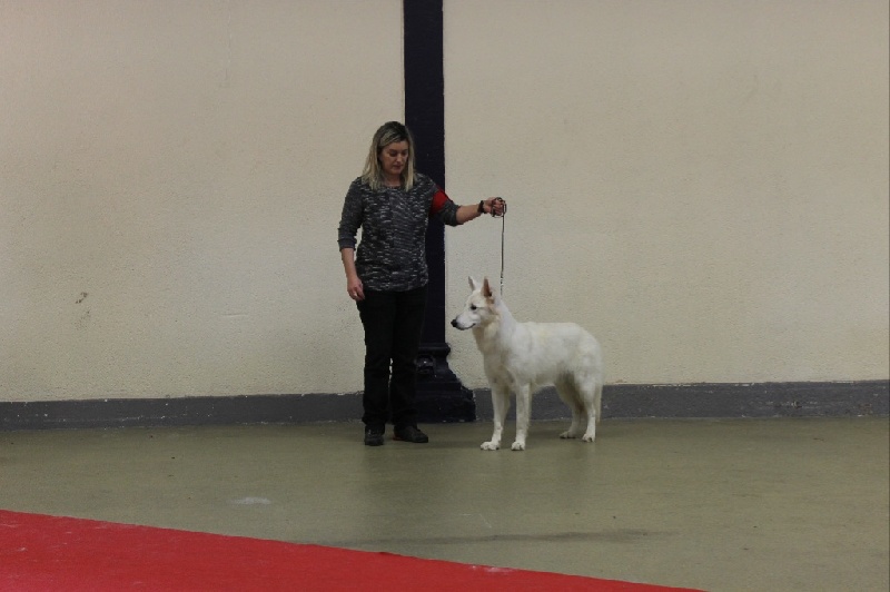 Jolie mome Della Bianca Neve - 2ème excellent !