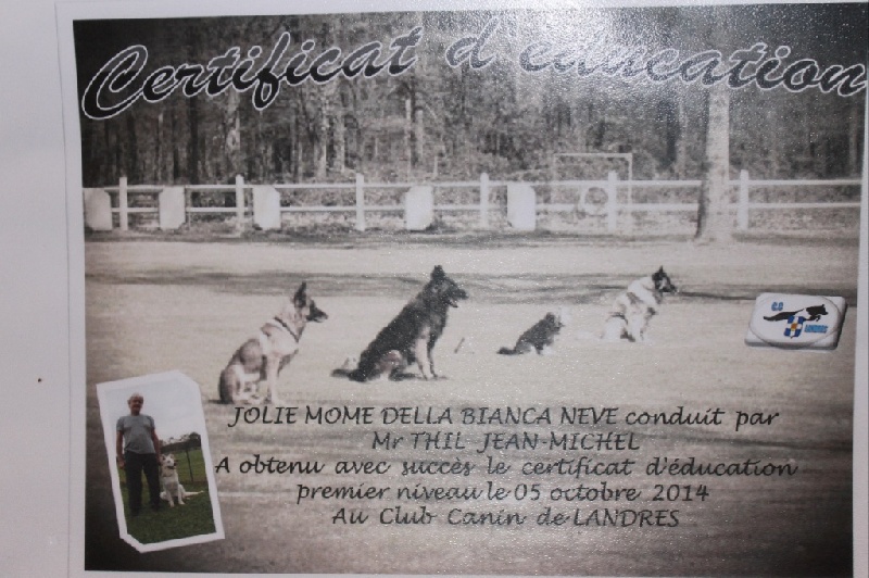 Jolie mome Della Bianca Neve - 1ère excellent !