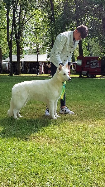 Jolie mome Della Bianca Neve - 2ème excellent