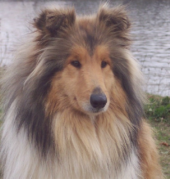 Vraie perle doree De cathyja