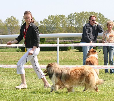 Vraie perle doree De cathyja