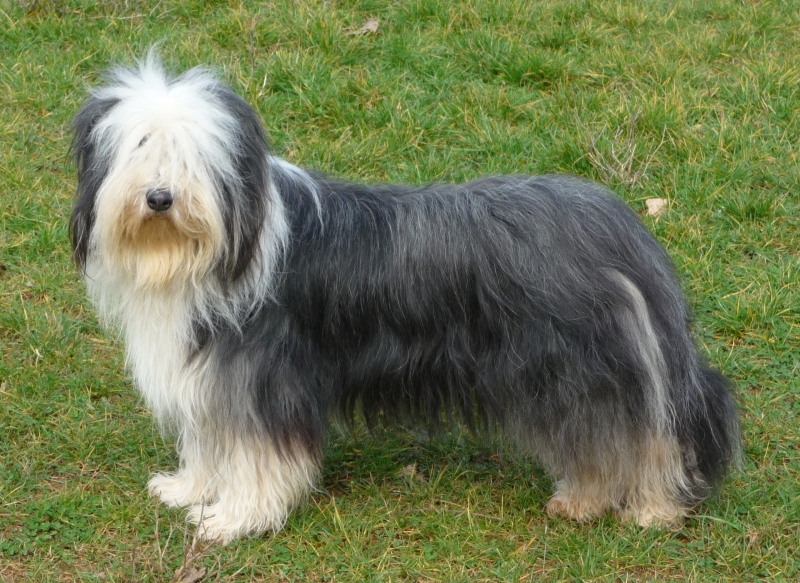 Publication : de L'Ouvernhat Auteur : Daniel JAY