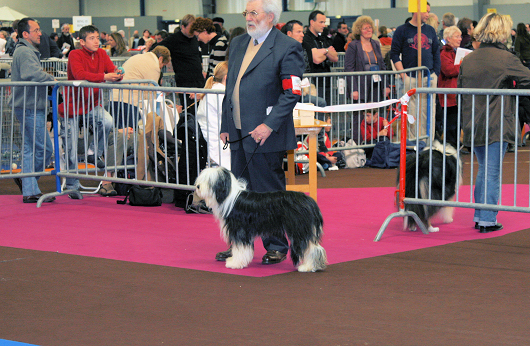 Publication : de L'Ouvernhat Auteur : Daniel JAY