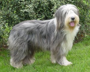 Publication : de L'Ouvernhat