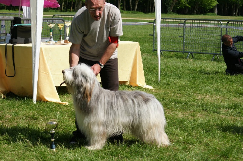 Beau brun de L'Ouvernhat - 4ième Excellent
