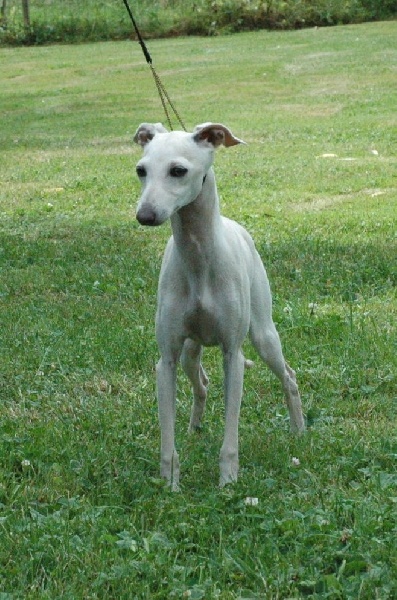 Publication : du domaine de Chanteloup