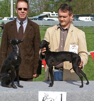 Diamant noir du domaine de Chanteloup - 1EXC CAC Jeune