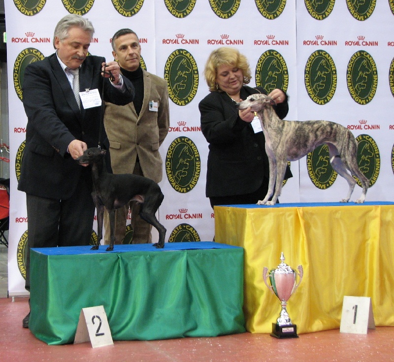 CH. Be bop du domaine de Chanteloup - CACIB BOB BOG2