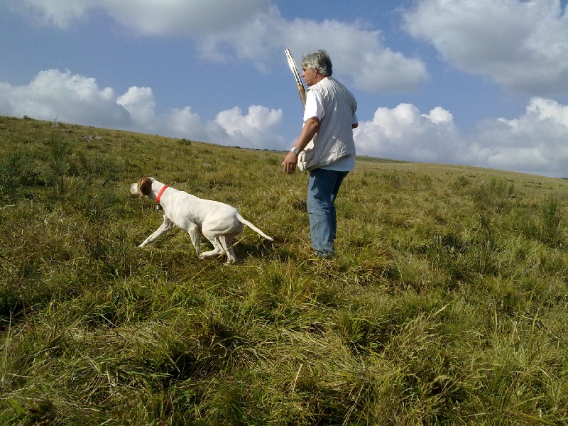 TR. CH. Barça des Gorges du Regalon