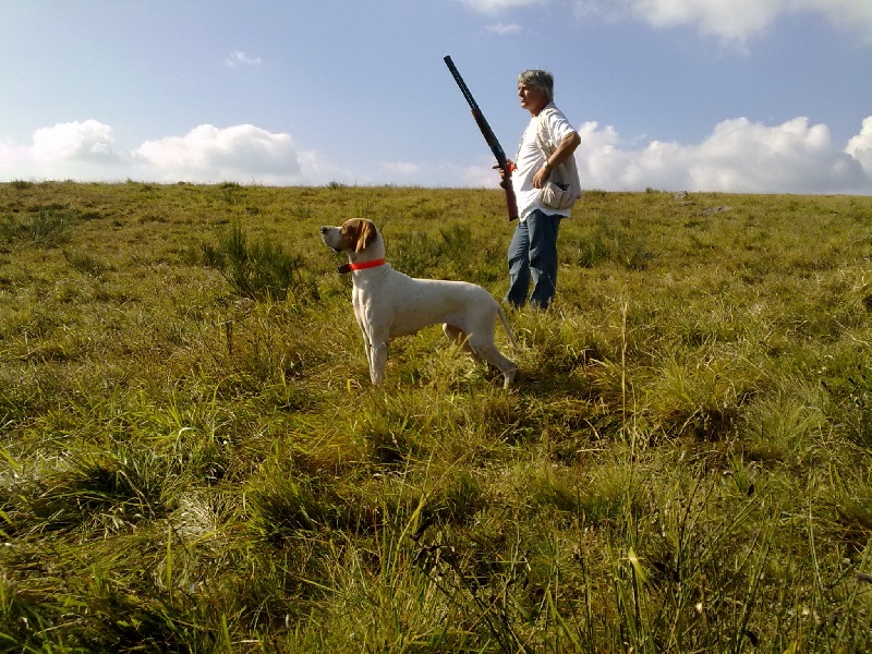 TR. CH. Barça des Gorges du Regalon